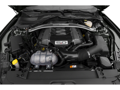 2015 Ford Mustang GT Premium 50th Anniversary