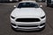 2015 Ford Mustang GT Premium 50th Anniversary