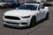 2015 Ford Mustang GT Premium 50th Anniversary