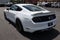 2015 Ford Mustang GT Premium 50th Anniversary