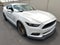 2015 Ford Mustang GT Premium 50th Anniversary