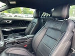 2015 Ford Mustang GT Premium 50th Anniversary