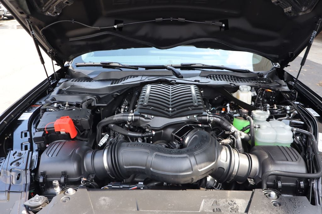 2024 Ford Mustang GT Premium Shelby Super Snake