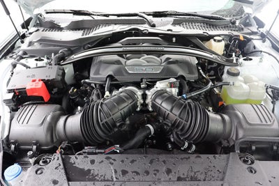 2026 Ford Mustang Dark Horse