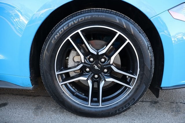 2023 Ford Mustang EcoBoost