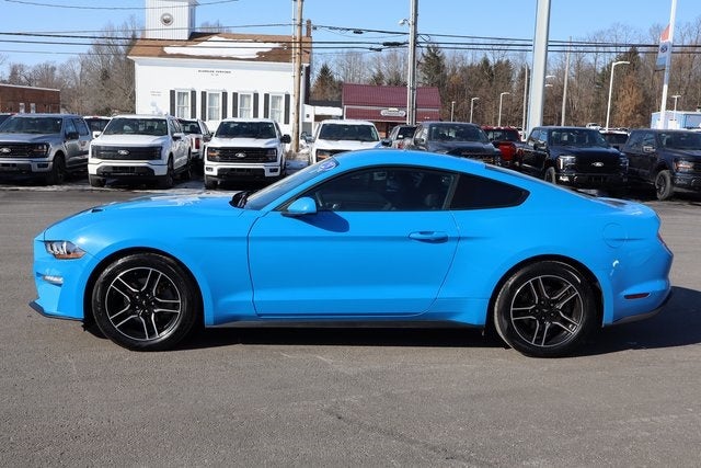 2023 Ford Mustang EcoBoost