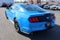 2023 Ford Mustang EcoBoost