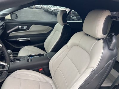 2025 Ford Mustang GT Premium 60th Anniversary