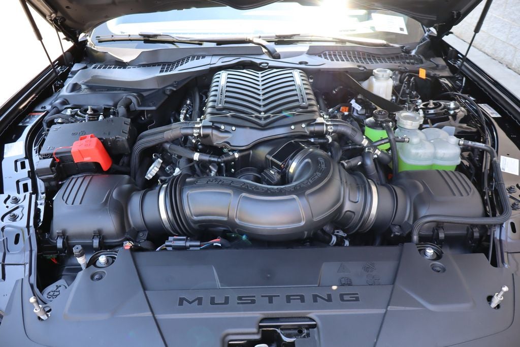 2026 Ford Mustang GT Premium Shelby Super Snake