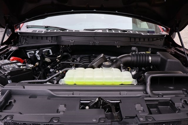 2025 Ford F-150 STX LOBO