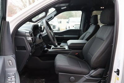 2025 Ford F-150 STX LOBO