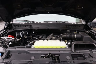 2025 Ford F-150 STX LOBO