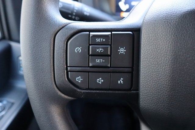 2025 Ford F-150 STX Black Widow Edition