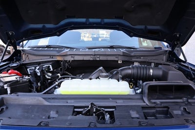 2025 Ford F-150 STX Black Widow Edition