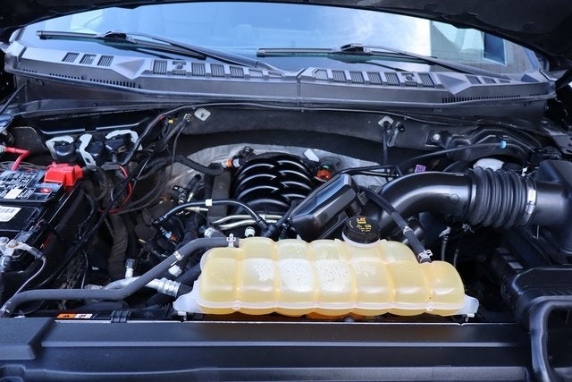 2020 Ford F-150 XLT w/BOSS Sport Duty Snow Plow