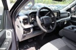 2025 Ford F-350SD XLT