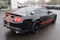 2012 Ford Mustang Shelby GT500